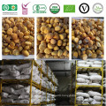 bulk frozen chestnuts from china